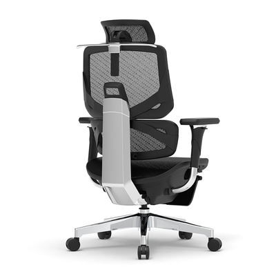 Ergomax电脑椅人体工学