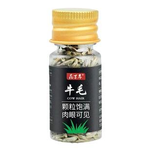 水草种子鱼缸造景套餐水草种孑植物种籽绿植前景养鱼鱼缸水底草坪