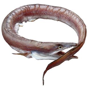 舟山特产东海水产鱼干货海鲜渔民自晒本地整条风鳗筒咸淡适中鳗干