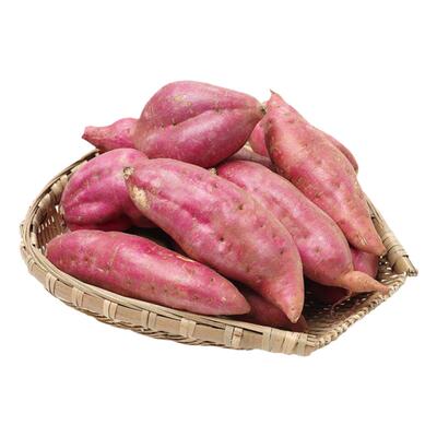 天津岳龙红瑶蜜薯软糯香甜