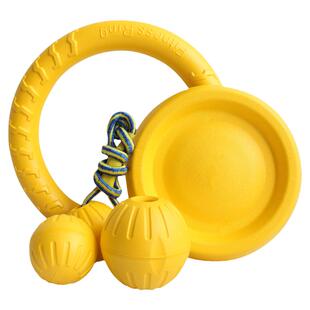 狗狗玩具球飞盘玩具泰迪飞碟金毛大型犬玩具球磨牙耐咬训犬玩具