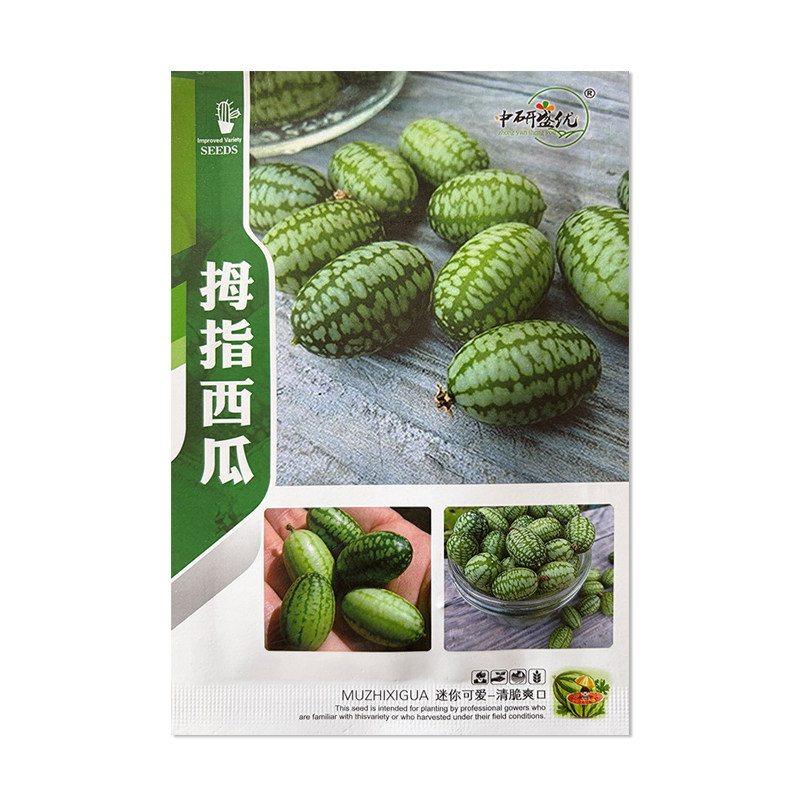 中研盛优拇指西瓜种子