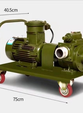 防爆抽油加油泵 汽油泵 导油泵 AC Ex-Proof Fuel Transfer Pump