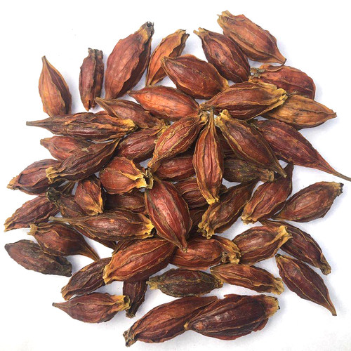 大栀子500g 包邮 水栀子红栀子黄枝子 中药材 正己干货香料大全