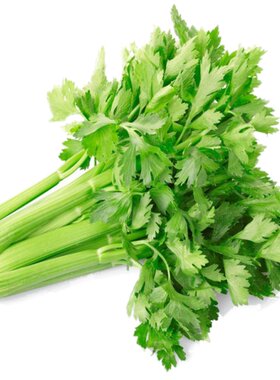 皇后香芹实心包邮蔬菜种子
