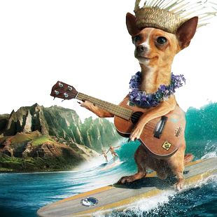 ps2025教程淘宝美工零基础剪映视频剪辑软件教学全套电商美工学习