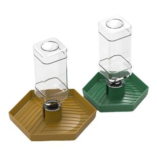 爬宠鬃狮自动饮水器乌龟水食盆绿鬣蜘蛛蛇树蛙守宫蜥蜴喝水喝水盘
