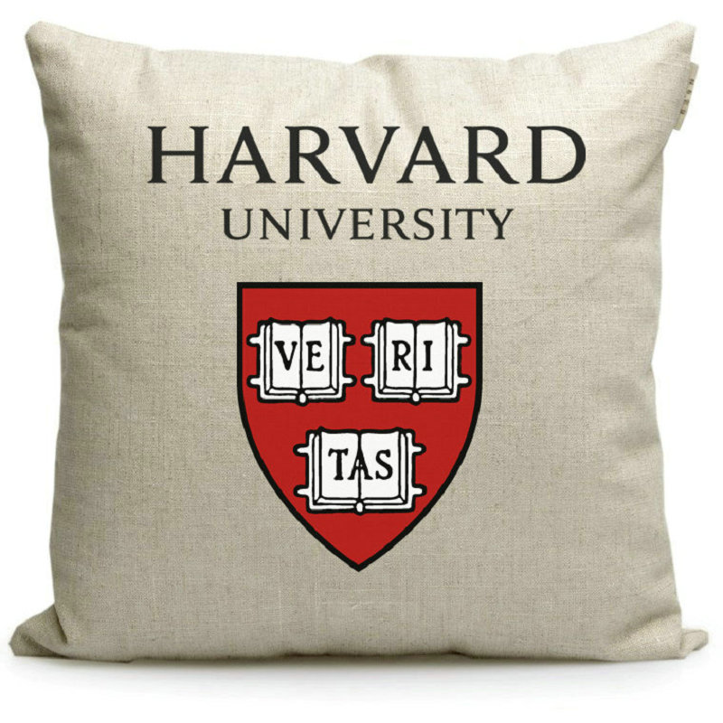 康奈尔大学美国Cornell University周边纪念品定制校徽礼品抱枕