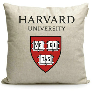 康奈尔大学美国Cornell University周边纪念品定制校徽礼品抱枕