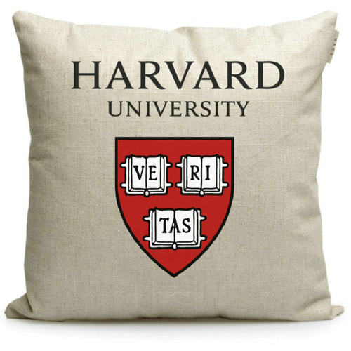 康奈尔大学美国Cornell University周边纪念品定制校徽礼品抱枕