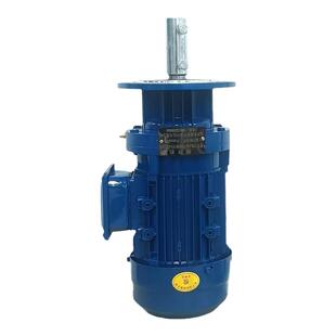 正宗纯铜水处理380/220V工业溶药装置三相电动摆线针轮减速机热卖