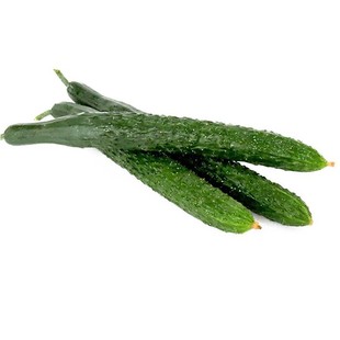 津研四号黄瓜种子青瓜刺黄瓜种籽子水果春秋四季阳台庭院蔬菜种子