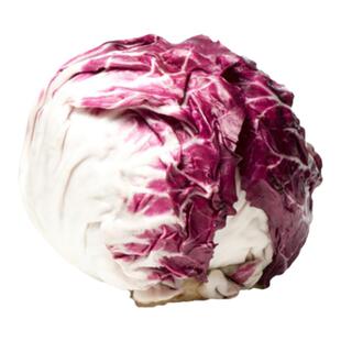 落地球新鲜生菜紫苣红菊苣绿叶红包西餐健身洗切蔬菜沙拉蔬菜