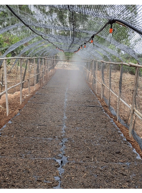 雾化喷淋自动浇水神器屋顶降温