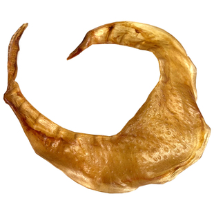 天然大号甲鱼裙边干货团鱼水鱼唇边鳖裙煲汤炒焖佛跳墙100-15头