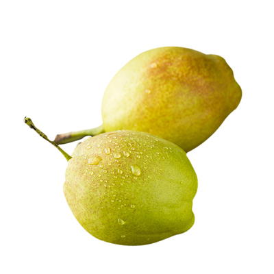 全母梨库尔勒香梨新鲜水果顺丰