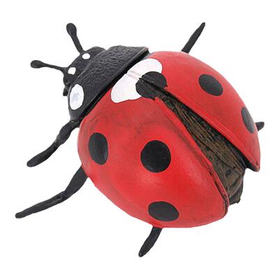 昆虫模型七星瓢虫环保材质