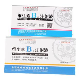 宠物犬猫狗狗维生素B12+B1注射液脊髓神经炎腰椎瘫痪疾病狗药品