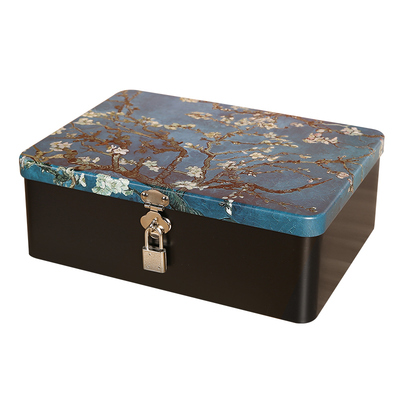 桌面化妆品收纳盒带锁密码铁盒