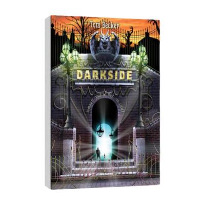 原版英文 FICTION 11-14全球知名中学读物 Darkside