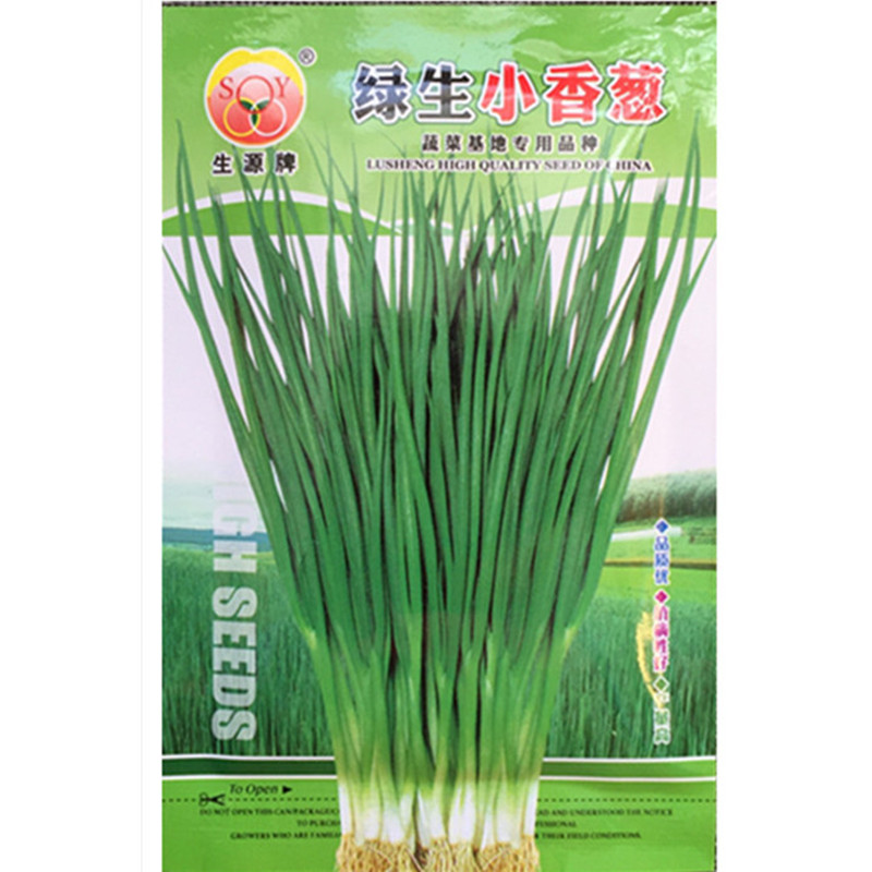 云南蔬菜种子绿生小葱四季播种栽