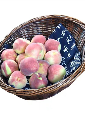 秋套鲜秋桃寒露蜜桃5山东蜜桃