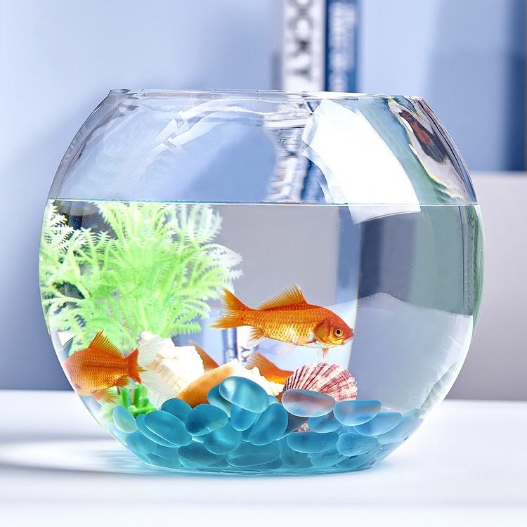 办公室小鱼缸加厚透明玻璃乌龟缸桌面圆形家用小型金鱼缸客厅造景