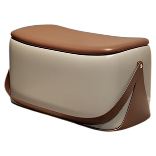 进门可坐穿鞋柜一体入户卧室床尾长条凳门口换鞋凳家用轻奢高级感