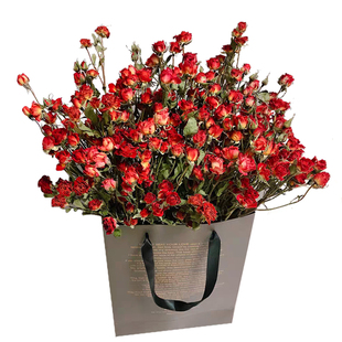 真花多头小玫瑰蔷薇泡泡干花家居店铺装饰插花diy滴胶相框干花材