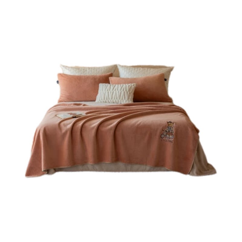 母婴级A类加厚牛奶绒复合毛毯子