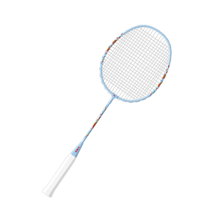 羽毛球拍正品官方旗舰店儿童小学生专用初学双拍成人超轻耐打套装