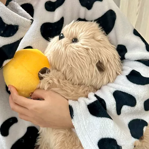 Милая плюшевая кукла, популярно в интернете, подарок на день рождения