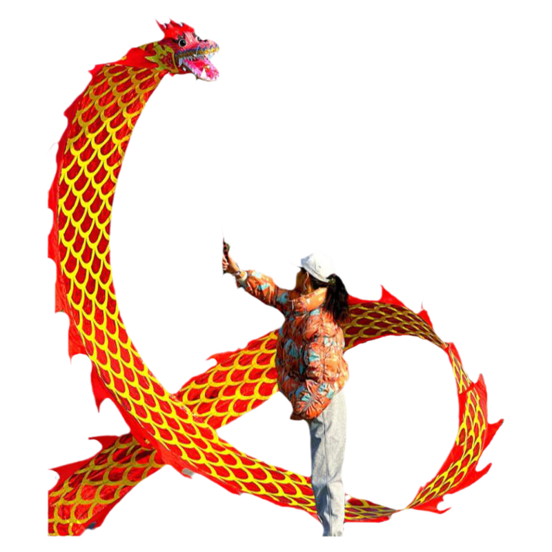 舞龍彩帶健身新款廣場舞手甩龍衣龍身飄帶耍龍頭道具表演中國成人