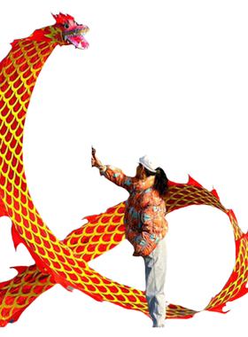 舞龙彩带广场健身成人带龙头