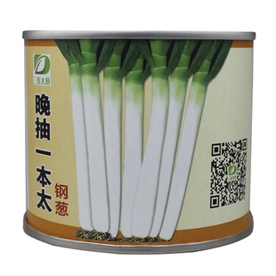 日本钢葱 晚抽一本太葱籽 铁杆大葱种子 耐热 抗倒伏 耐抽苔 包邮