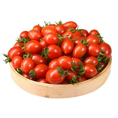 玲珑果越小越甜孕妇小番茄