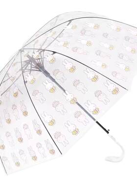 天堂伞新品透明雨伞女男晴雨两用