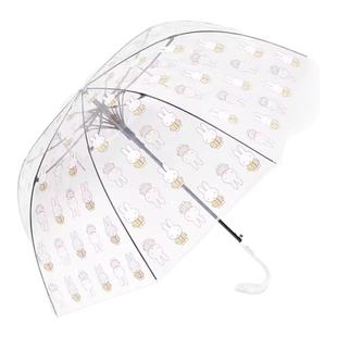 天堂伞新品透明长柄直杆雨伞女网红双人用结实便携晴雨两用学生伞