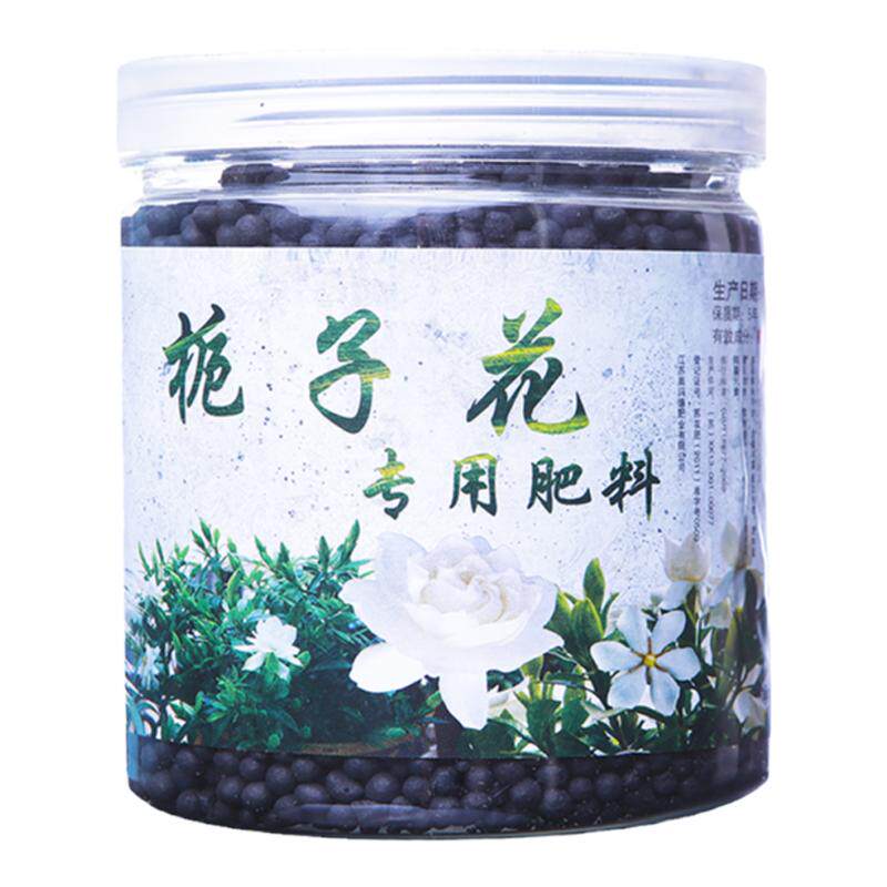 栀子花改善黄叶枯萎开花香的肥料