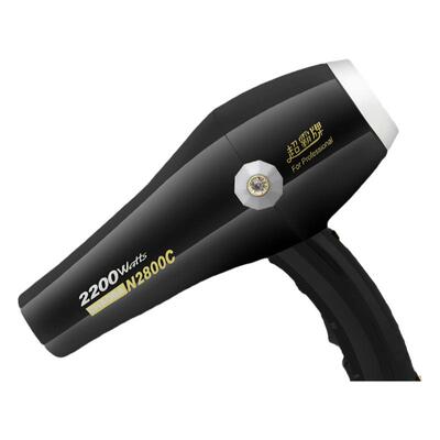 发廊专用低噪大风力速干吹风机