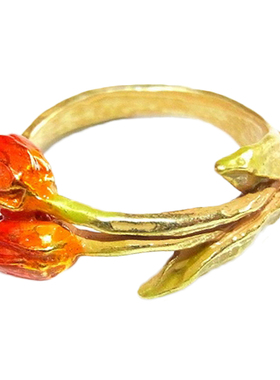 palnartpoc小清新束ins文艺花朵