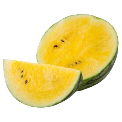 小型礼品西瓜早熟春季水果种子