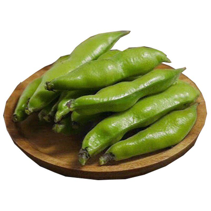 新鲜现摘现发蚕豆5斤包邮2026年甘肃嫩带壳青绿皮胡豆兰花豆去壳