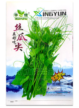 洋真好吃蔬菜籽阳台盆栽丝瓜藤