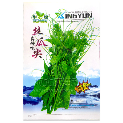 洋真好吃蔬菜籽阳台盆栽丝瓜藤