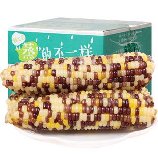 禾久甜粘花糯玉米非东北非转基因彩色玉米黏真空10根粗粮早餐