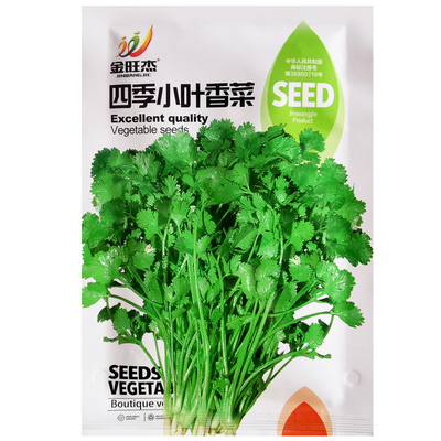 四季小叶香菜种子香味浓郁