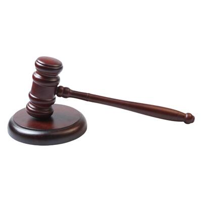 儿童抓周法庭审判拍卖锤