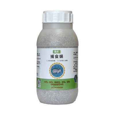 果攸捕食螨草莓月季红蜘蛛天敌