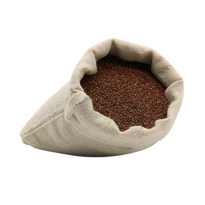 党参种子出售2023年新品甘肃白条党潞党文党当参种籽包邮指导种植